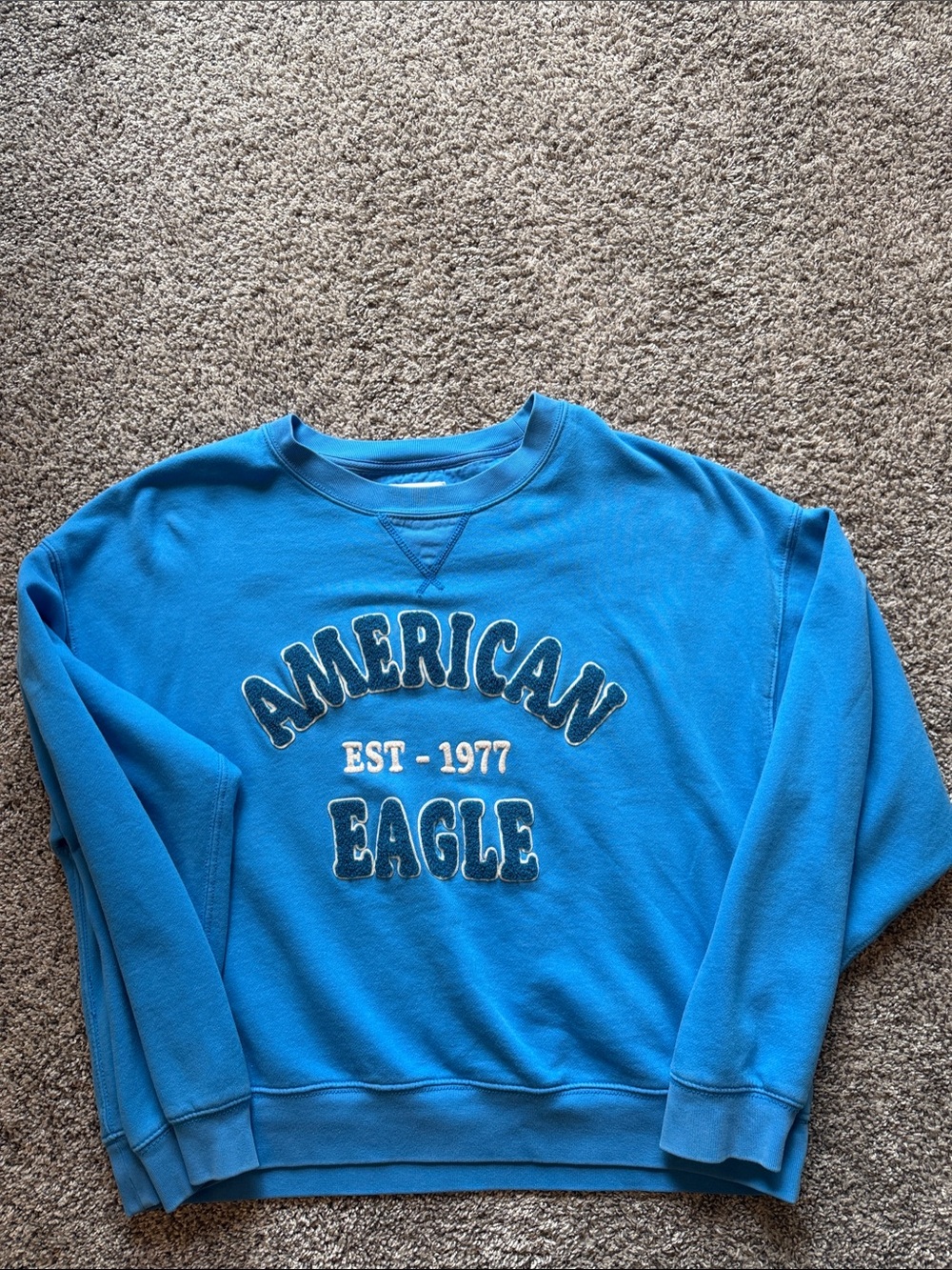 American Eagle Outfitters Teal-Blue Crewneck Sweatshirt with Arched Logo